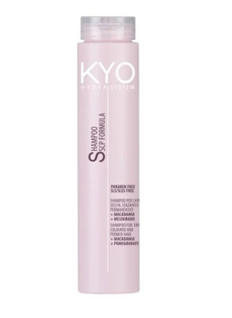 KYO Hydra System Dry Coloured Hair Shampoo 250 ml