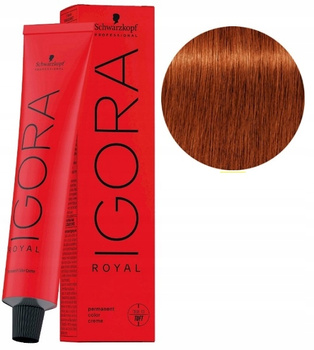 Schwarzkopf Farba Igora Royal 60ml 6-77 CIEMNY BLOND MIEDZIANY EXTRA