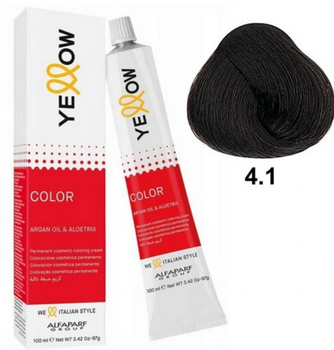 Alfaparf YELLOW Color Permanent 4.1 Farba 100 ml