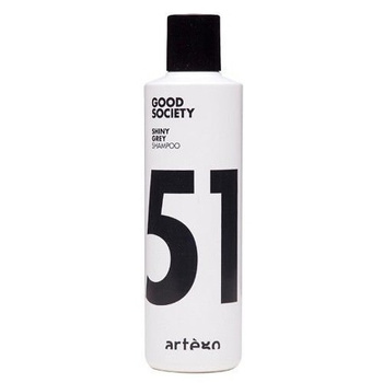 ARTEGO Shiny Grey Szampon  250 ml